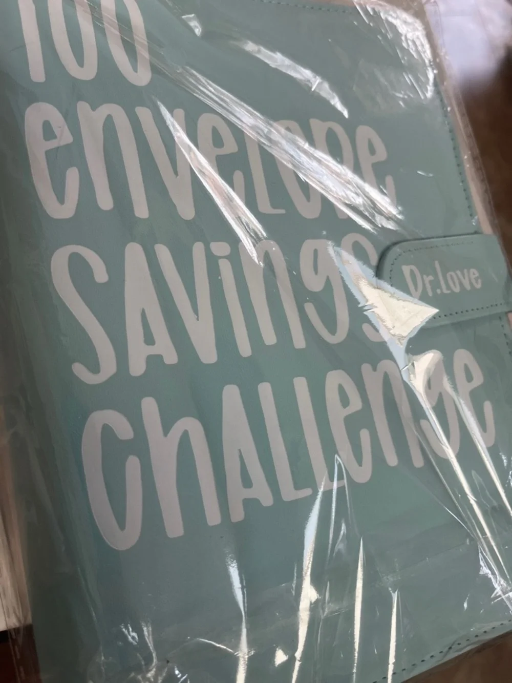 New Savings Challenge Binder 5k savings